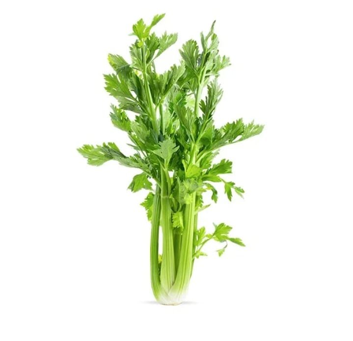 بكدونس جوهرة مجدينة نصر