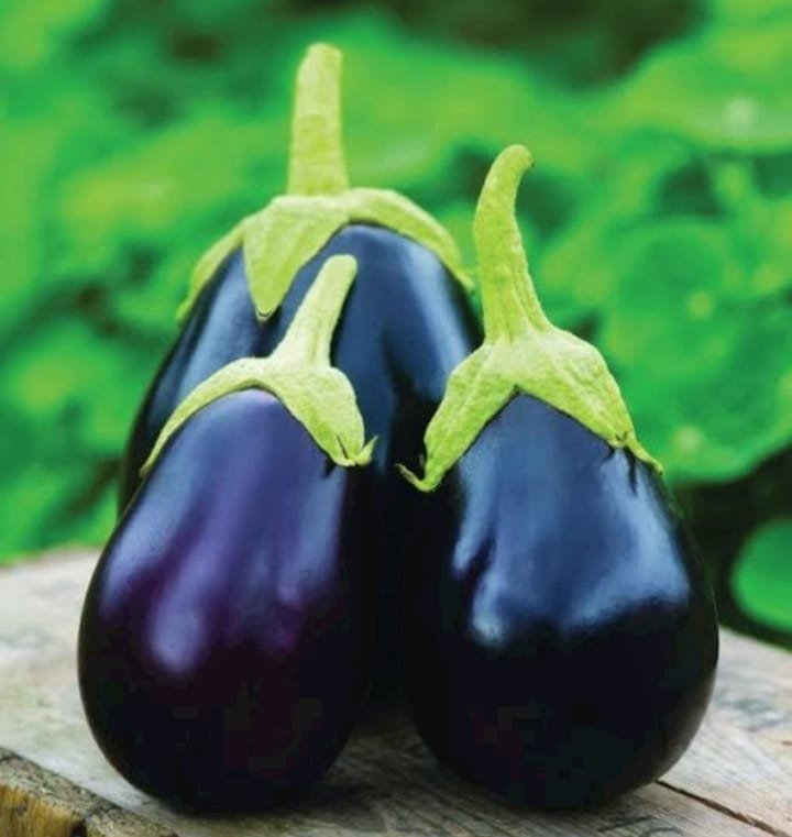 بتنجان رومي 1كيلو جوهرة مدينة نصر