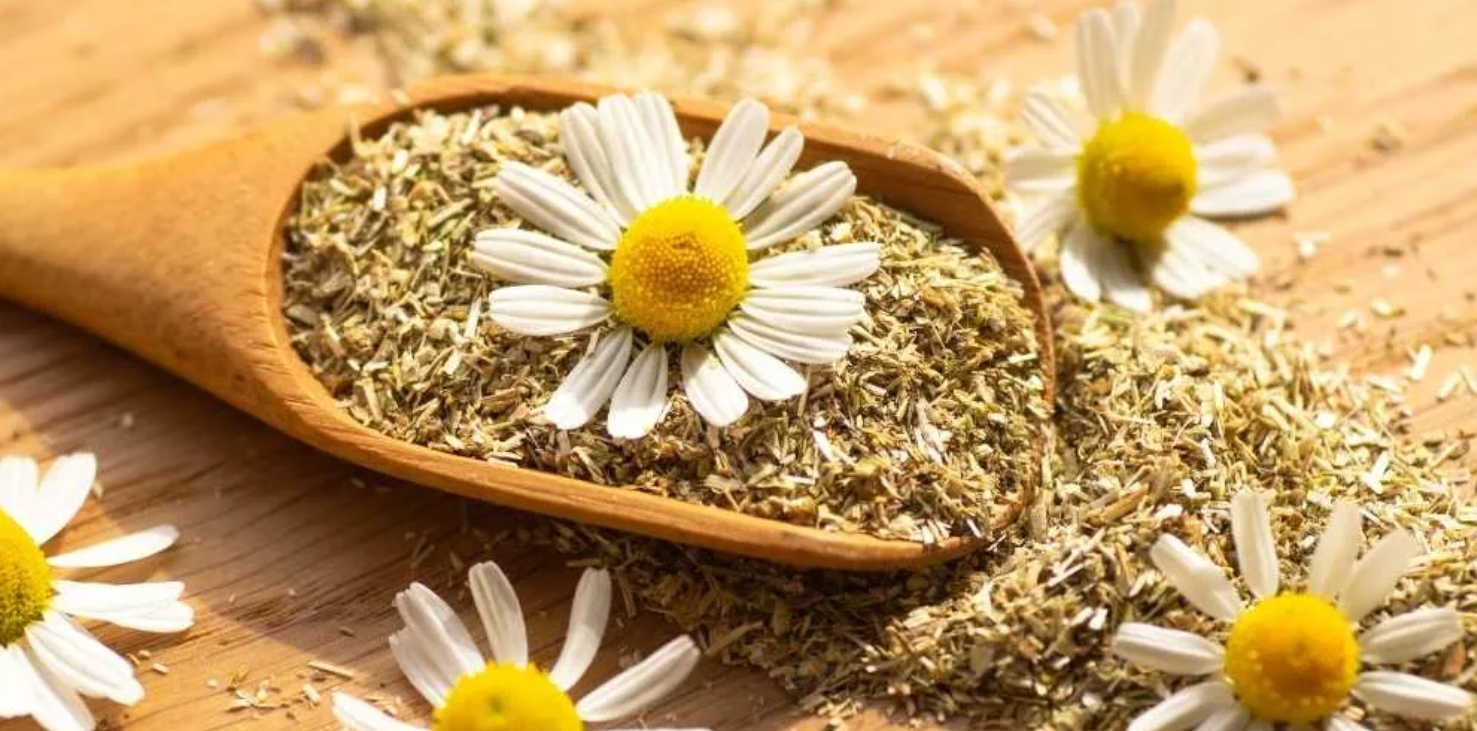 بابونج 100 جرام