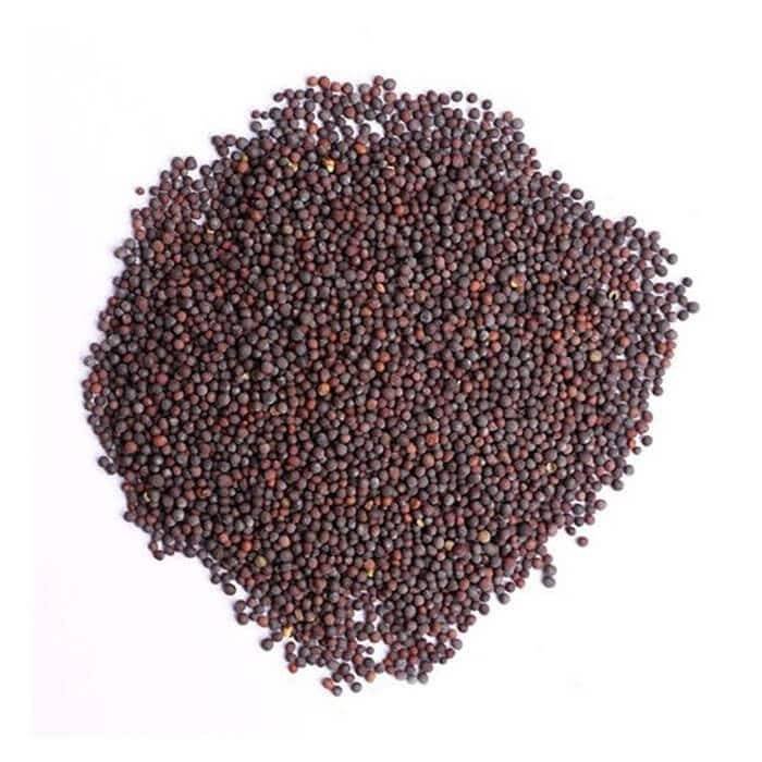 بذور خردل 100 جرام