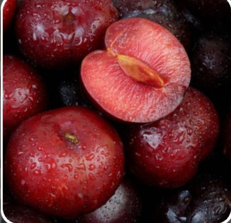 برقوق قطع فريش المامون