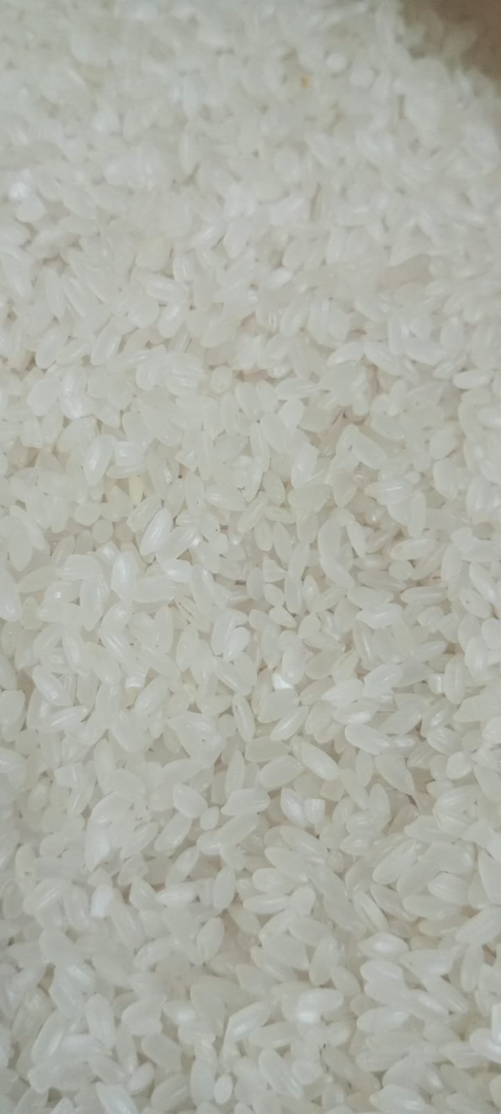 ارز بلدي رفيع  250 جرام